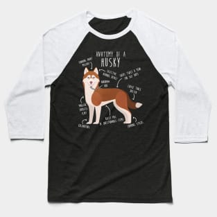 Red Siberian Husky Dog Anatomy Baseball T-Shirt